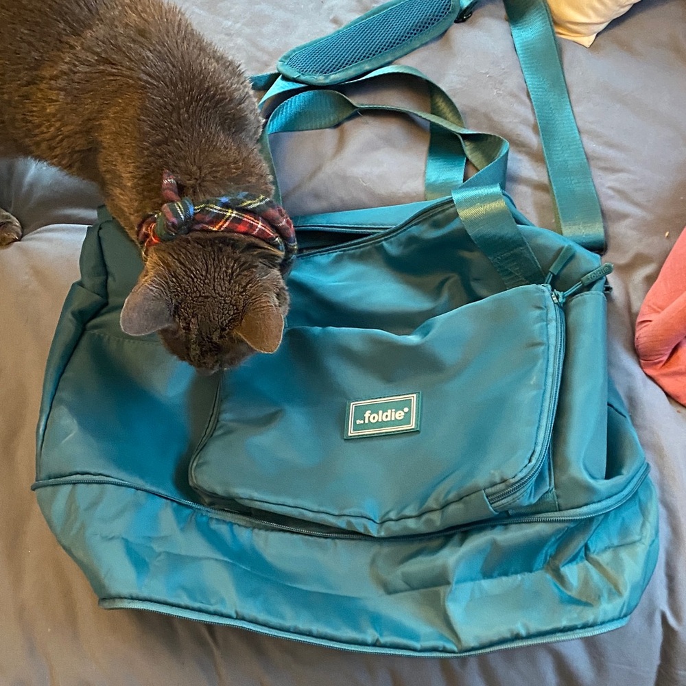 Foldie Teal Travel Bag
